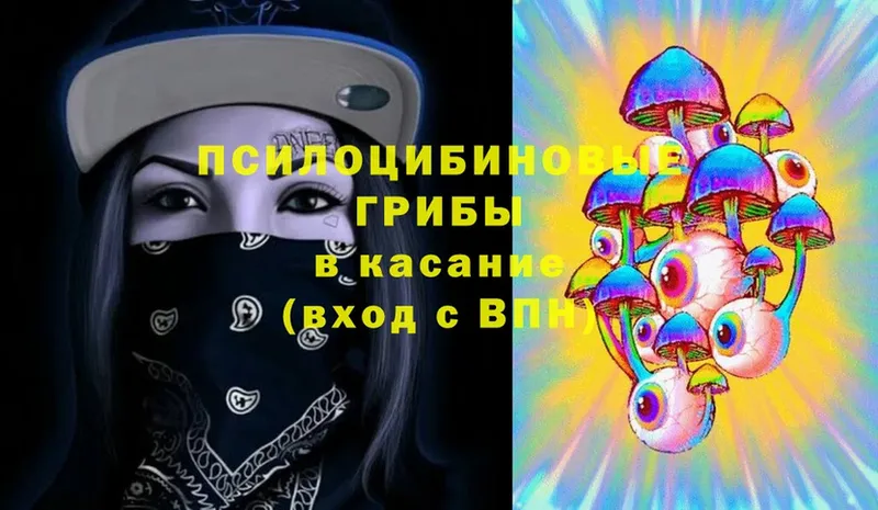 Галлюциногенные грибы Magic Shrooms  купить наркоту  Камбарка 